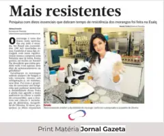 Gazeta