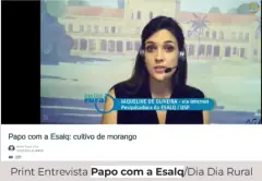 Papo de Campo